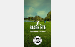 Mini-stage été éveils poussins